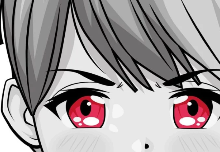 Animeidhen