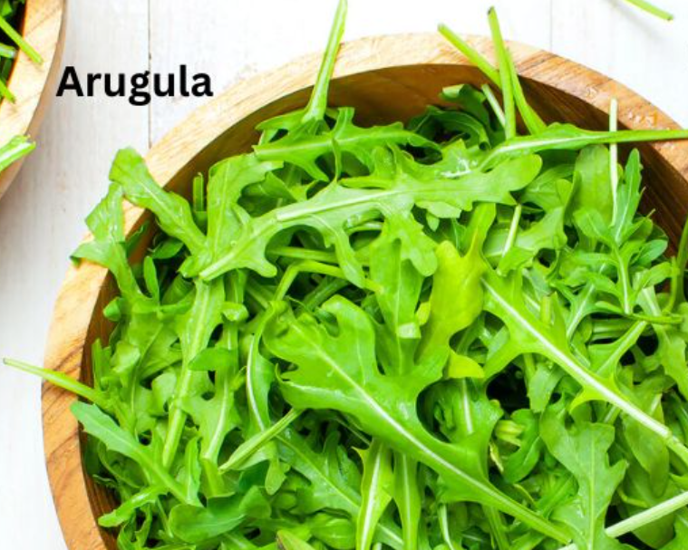 arugula researcher at cambridge